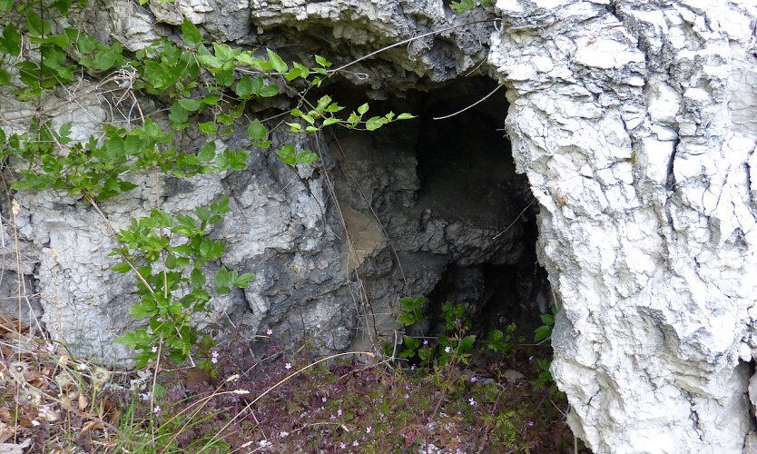 Der wieder aufgefundene Eingang der Ziegenhöhle (Foto: Silvia Schäfer) Der wieder aufgefundene Eingang der Ziegenhöhle (Foto: Silvia Schäfer)