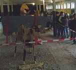 Mit wachen Sinnen (Foto: Kunsthof Friedrichsrode) Mit wachen Sinnen (Foto: Kunsthof Friedrichsrode)