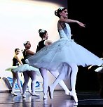 "Die Sch&ouml;ne und das Biest" (Foto: Peter Blei)