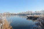 Nach einer kalten Nacht (Foto: Sebastian Hey)