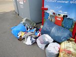 Müll in der Landschaft (Foto: M.Kappler)