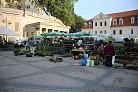 Pflanzenmarkt in Sondershausen gut besucht (Foto: Karl-Heinz Herrmann)