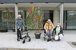 Maibaumschmücken in der AWO Seniorenresidenz Haus am Wippertor (Foto: Katrin Busch)