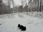 Winterwunderland in Sophienhof zum ersten Advent (Foto: W.Jörgens)