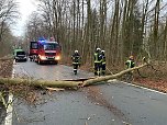Bilder vom Unfallort 2020 (Foto: Feuerwehr Bad Langensalza/SD)