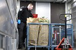 Bei einem Großeinsatz in Sondershausen konnte die Polizei eine Cannabis-Plantage ausheben (Foto: S. Dietzel) Bei einem Großeinsatz in Sondershausen konnte die Polizei eine Cannabis-Plantage ausheben (Foto: S. Dietzel)