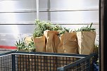Bei einem Großeinsatz in Sondershausen konnte die Polizei eine Cannabis-Plantage ausheben (Foto: S. Dietzel) Bei einem Großeinsatz in Sondershausen konnte die Polizei eine Cannabis-Plantage ausheben (Foto: S. Dietzel)