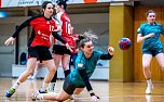 Handball in der Ballspielhalle (Foto: NSV)