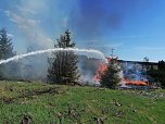 Waldbrand im Birkenmoor (Foto: Fotos: Freiwillige Niedersachswerfen , Freiwillige Feuerwehr Ilfeld/Wiegersdorf / Silvio Dietzel)