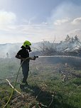 Waldbrand im Birkenmoor (Foto: Fotos: Freiwillige Niedersachswerfen , Freiwillige Feuerwehr Ilfeld/Wiegersdorf / Silvio Dietzel)
