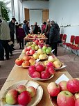 Obstsortentag in der Orangerie (Foto: Karsten Stiehler)