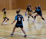 Handball-Hexen zu Gast in Artern (Foto: Jens Friedrichs)
