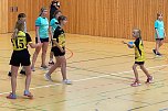 Die NSV Handballer legten einen guten Saisoneinstand hin (Foto: NSV)