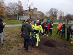 Eine Sommerlinde f&uuml;r die Petersbergschule (Foto: agl)