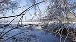 Winterimpressionen, aufgenommen an der Wipper (Foto: Gudrun L&uuml;bbecke)
