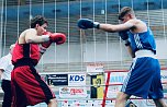 Wettk&auml;mpfe im Becken und im Boxring (Foto: agl)
