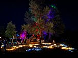 Gro&szlig;es Spektakel am Abend: das Lichterfest (Foto: Stadt Nordhausen)
