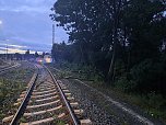 Bahn kollidiert mit &Auml;sten (Foto: S. Dietzel)