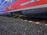Bahn kollidiert mit &Auml;sten (Foto: S. Dietzel)