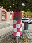 Kunstvolle Wollkreationen schm&uuml;cken die B&auml;ume der Bad Langensalzaer Altstadt (Foto: oas)