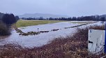 Hochwasser in Nordhausen (Foto: J.Piper)