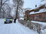 Brand im Sondersh&auml;user Schlosspark (Foto: S.Dietzel)