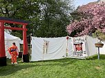 Hanami im Japanischen Garten Bad Langensalza (Foto: oas)