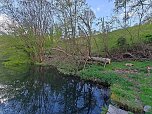 Sturmsch&auml;den,viel Wasser und sehr gute Fernsicht am ehemaligen Wald bei Urbach (Foto: Peter Blei)