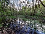 Sturmsch&auml;den,viel Wasser und sehr gute Fernsicht am ehemaligen Wald bei Urbach (Foto: Peter Blei)