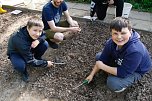 Die Gemüseackerdemie am Förderzentrum Pestalozzi (Foto: agl) Die Gemüseackerdemie am Förderzentrum Pestalozzi (Foto: agl)