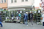 Gr&uuml;nes Innenstadtfest in Bad Langensalza (Foto: oas)