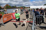 Zieleinlauf zum 10. Harztorlauf (Foto: agl)