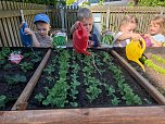 Am neuen Hochbeet können auch kleine Gärtner gut arbeiten (Foto: Kindergarten Tierhäuschen) Am neuen Hochbeet können auch kleine Gärtner gut arbeiten (Foto: Kindergarten Tierhäuschen)