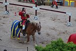 Hochprofessionelle Reitershow mit "Wenzel Ritterspiele" (Foto: Eva Maria Wiegand)