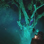 Viele Sachen waren zum f&uuml;rchten oder einfach eklig: Kinderspuk im NaturGarten (Foto: J.Papke)