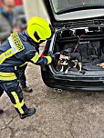 Entlaufener Hund ist wieder da (Foto: Feuerwehr Liebenrode)