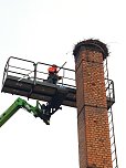 Sanierungsarbeiten am Storchennest in Winderhausen (Foto: Enrico und Nancy Hoffmann)