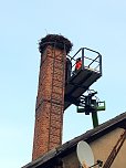 Sanierungsarbeiten am Storchennest in Winderhausen (Foto: Enrico und Nancy Hoffmann)