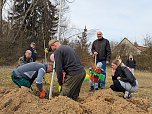 Babybaumaktion in Sondershausen (Foto: Janine Skara)
