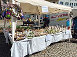 Fr&uuml;hlingsmarkt auf dem Rathausplatz in Nordhausen (Foto: Peter Blei)