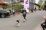 11. Harztorlauf - Am Start und auf der Strecke (Foto: agl)