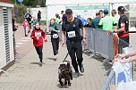 Auf der Zielgerade beim 11. Harztorlauf (Foto: agl)