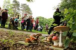 Waldjugendspiele 2025 im Park Hohenrode (Foto: agl)