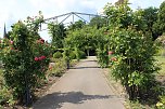 Rosenpracht in Rosengarten in Bad Langensalza (Foto: Eva Maria Wiegand)