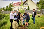 Kommunionskinder pflanzen Erinnerungsbaum (Foto: Stadt Leinefelde-Worbis) Kommunionskinder pflanzen Erinnerungsbaum (Foto: Stadt Leinefelde-Worbis)