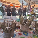 Die MATERIA25 in der Alten Kanzlei in Bleicherode (Foto: Verein f&uuml;r Regionalentwicklung)