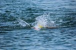 Firmen Triathlon in Sundhausen (Foto: P.Blei)
