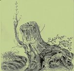 Baumminiaturen  (Foto: ELHE Walden  )