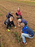 Kartoffelernte der Grundsch&uuml;ler in Werther (Foto: GS Werther)