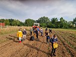 Kartoffelernte der Grundsch&uuml;ler in Werther (Foto: GS Werther)